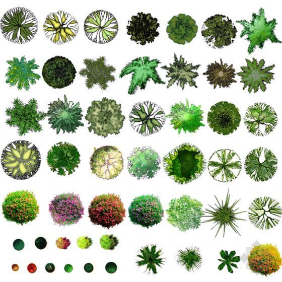 绿化植物psd资料下载-PSD格式的彩色植物平面图