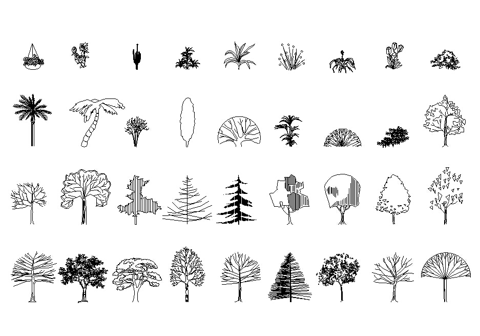 樟树立面图手绘图片