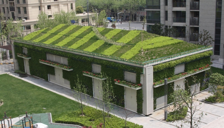 垂直绿化墙cad施工图水资料下载-常见的立体绿化形式及与其相适宜的植物配置
