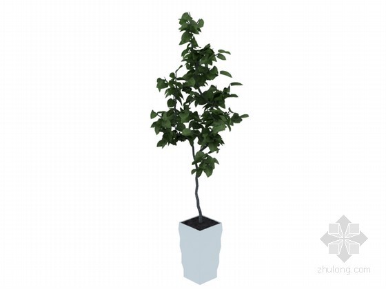 3D植物装饰盆栽资料下载-植物盆栽3D模型下载