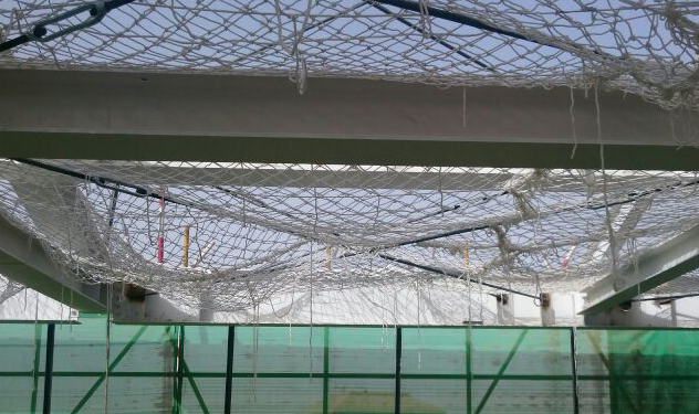 甘肃文化艺术中心场馆屋面系统安全专项方案（四层钢框架支撑+钢砼框剪结构）_2