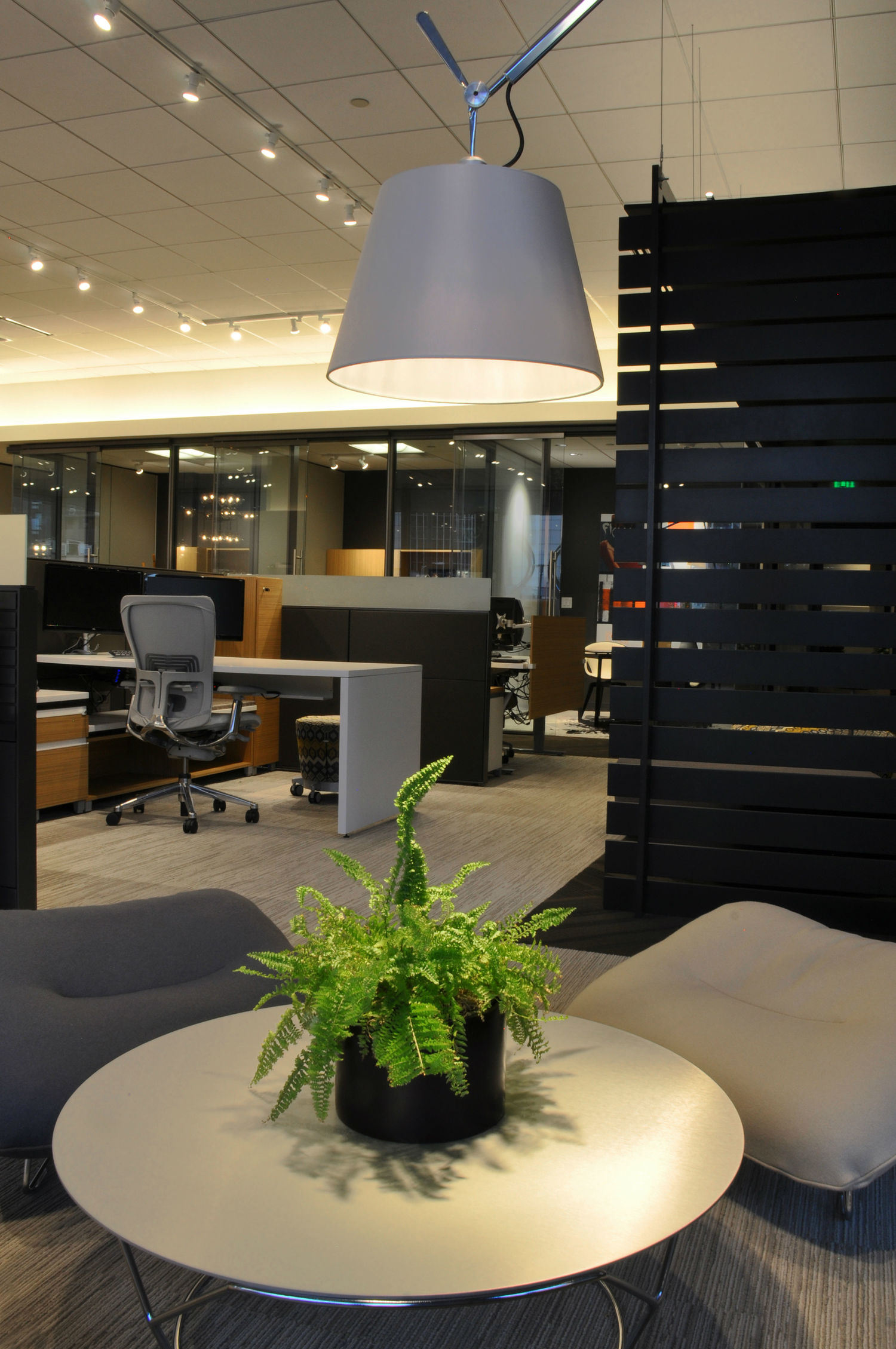 美国梨树工作环境对策公司办公室室内实景图