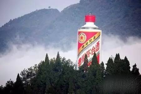 贵州怀仁"天下第一瓶" q 茶壶收集者