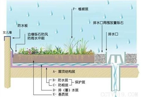 关于屋顶花园必须要知道的设计规范及植物配置_7