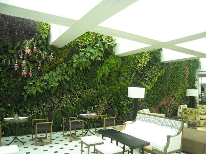 [分享]常见的立体绿化形式及与其相适宜的植物配置