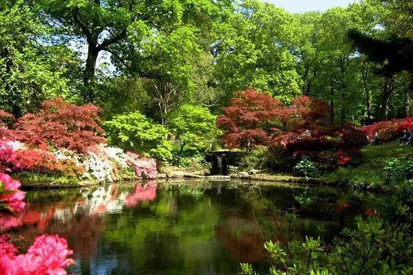 世界上最美的十大花园景观_38