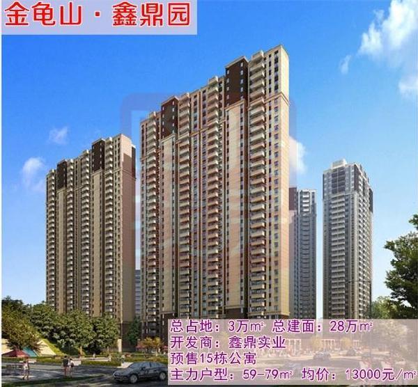 60平方小户型楼资料下载-大亚湾楼评系列，大峡谷旁金龟山.开发商有不为人知的秘密？