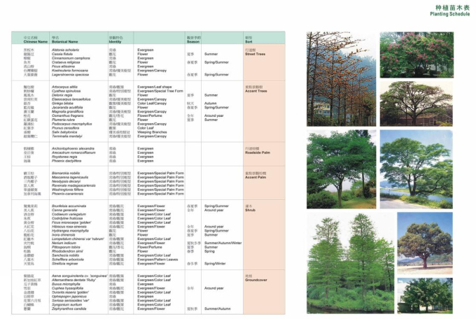 [广西]某市江北岸滨水区城市设计方案-种植苗木表