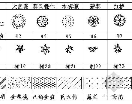 景观设计常用植物平面图例