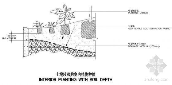 高速公路植物种植资料下载-土壤较深的室内植物种植
