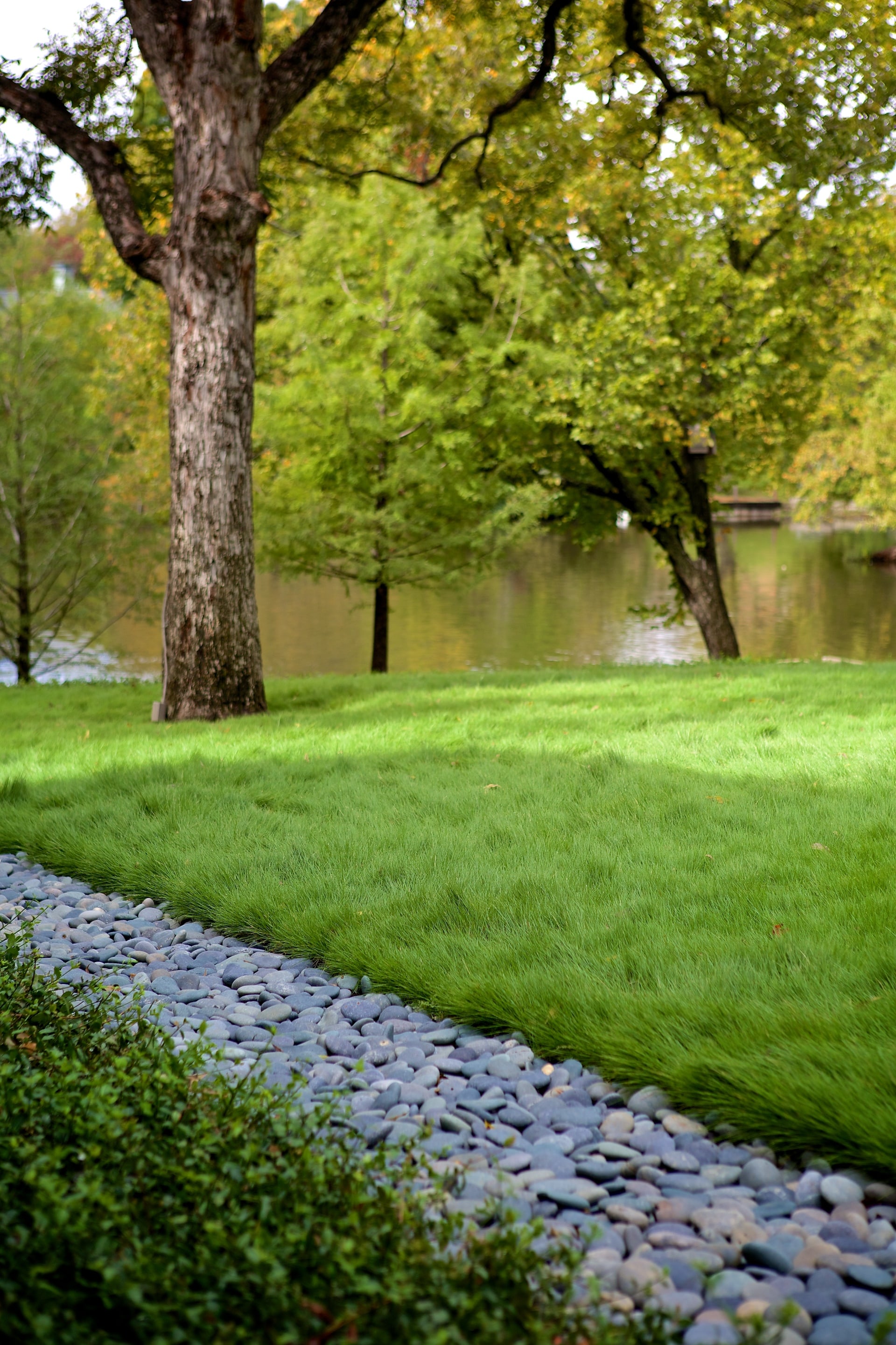 湖边的住宅景观