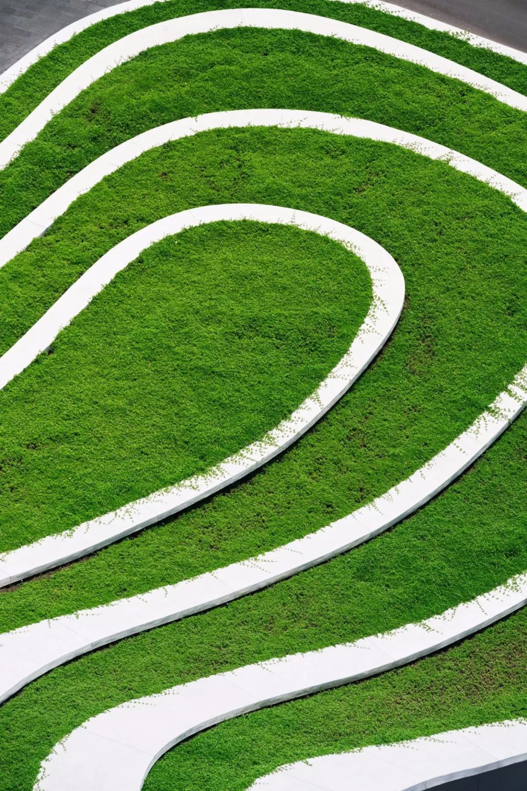 景观设计-筑龙园林景观论坛