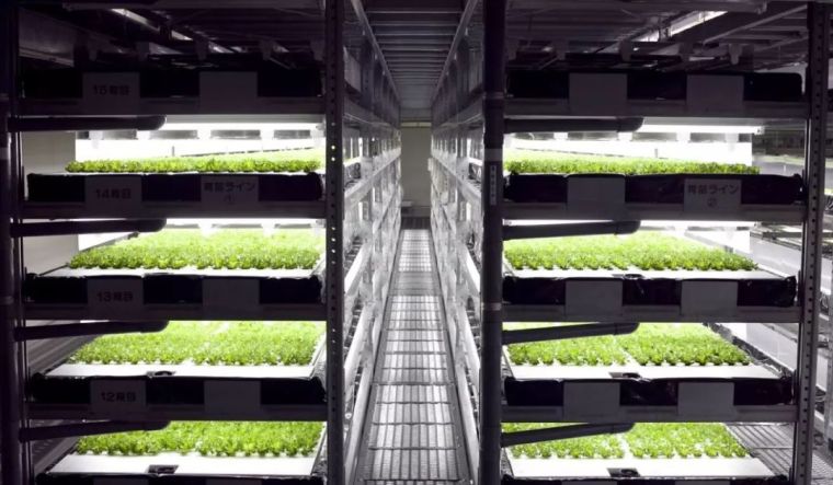 迪拜垂直农场资料下载-据说能喂饱地球97亿人，垂直农场为何这样厉害？到底有什么神奇？