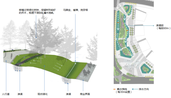 [四川]“海绵城市”生态道路景观专项规划设计方案-商业段海绵城市策略