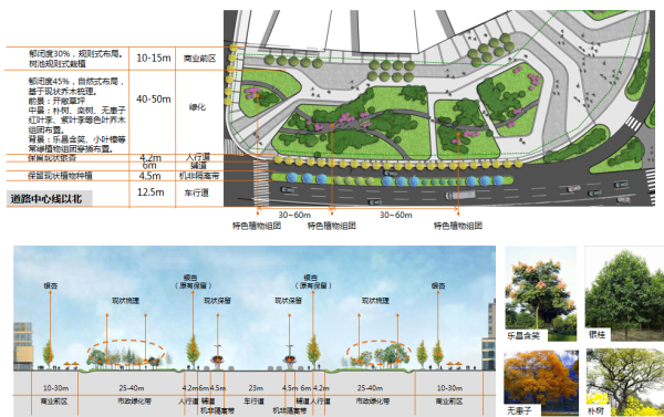 [四川]“海绵城市”生态道路景观专项规划设计方案-商住段景观设计详图