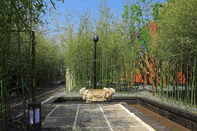 自然造景资料下载-九种方法教你，如何运用竹子巧妙造景！