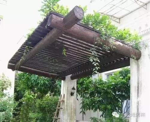 创意园林景观设计资料下载-花架在园林景观设计中的功能作用
