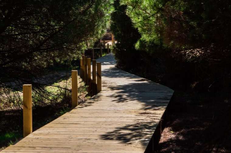 葡萄牙FALESIA海滩人行道-topiaris-joao-morgado-walkway-to-falesia-beach (13)