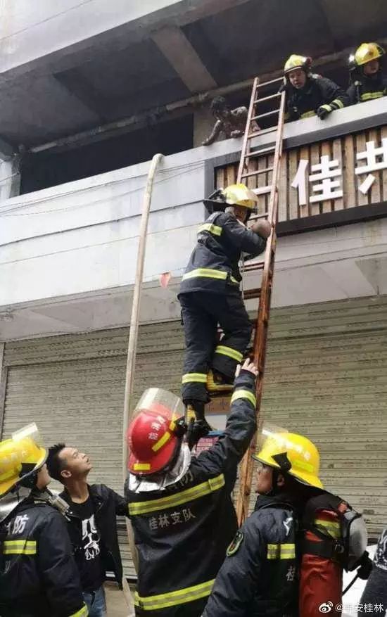 惨，桂林火灾5死者系大学生，在试图冲过一楼出口时遇难！_10