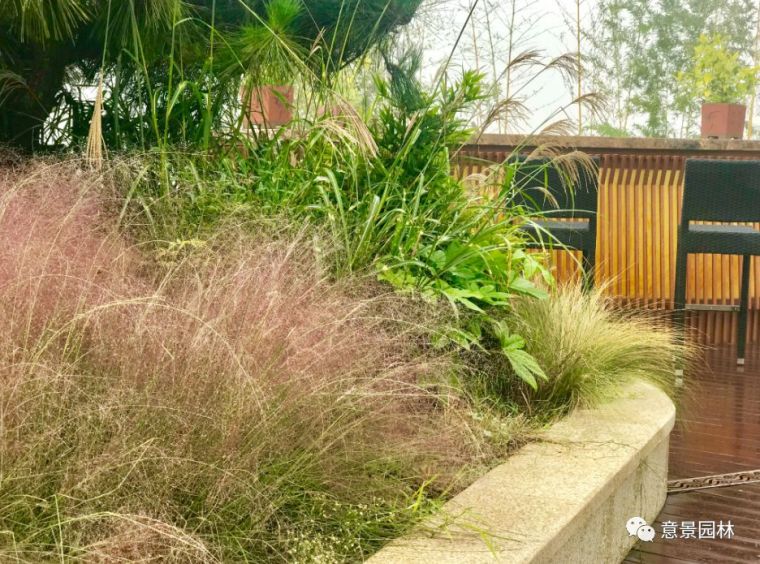 陕西屋顶花园资料下载-意景为什么喜欢种“草” ？ 独特的风景，朴实的美