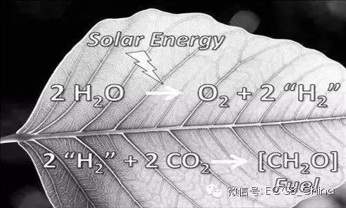 绿色建筑空气资料下载-人造树叶与绿色建筑