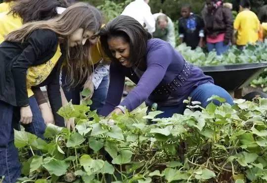搬离白宫前，米歇尔捐出250万美元保护种了8年的白宫菜园_25