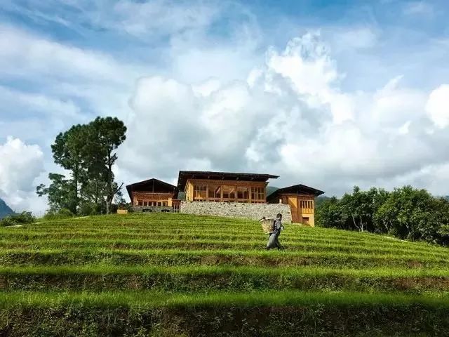 森林木建筑酒店资料下载-不丹，一个被时光遗忘的神秘国度，竟藏着这么多世界顶级酒店...