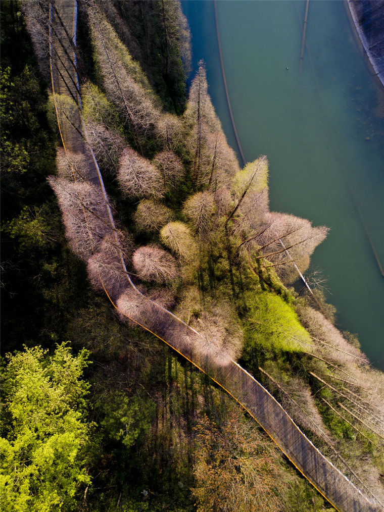 金华浦阳江生态廊道-005-Puyangjiang-River-Corridor-by-Turenscape