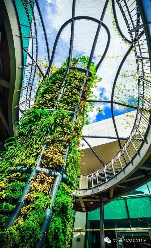为什么全世界都向新加坡学习垂直绿化_16