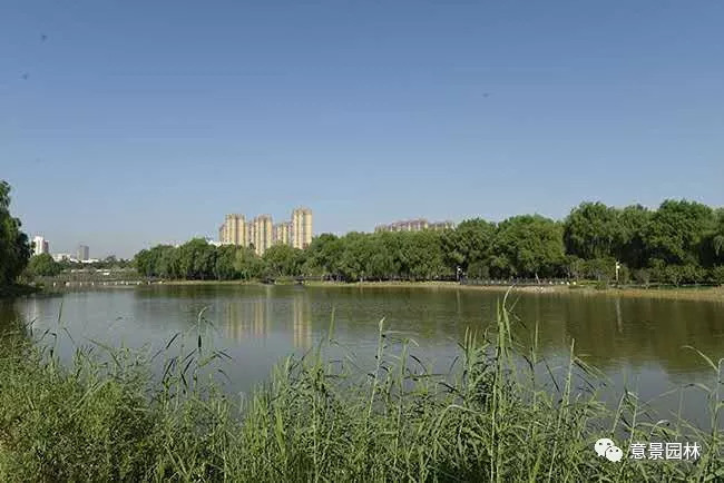 聚焦！意景邀请您来看宜人风景~_3