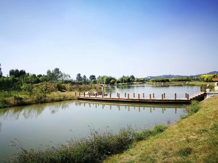 海绵城市的施工图资料下载-海绵城市建设中的植物选择与设计