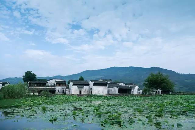 她踏遍无数古村找寻一片荷塘，建了一处心中向往已久的原乡_4