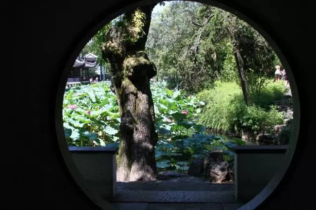 水乡桃源景观设计资料下载-做古典园林景观设计，这些植物怎可不知？
