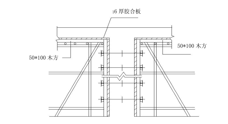 地块拆迁安置房剪力墙结构工程施工组织设计-模板及支撑示意图