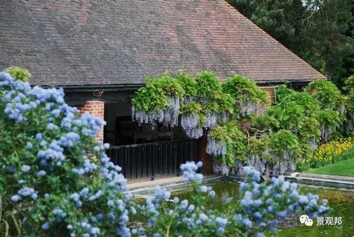 植物园的植物资料下载-英国值得学习的5个植物园与私家庭院