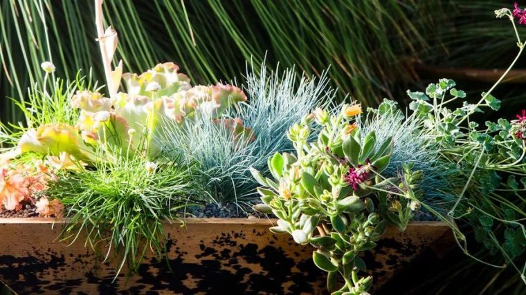 屋顶花园花箱资料下载-容器花园，方寸之间开启美妙园艺之旅！