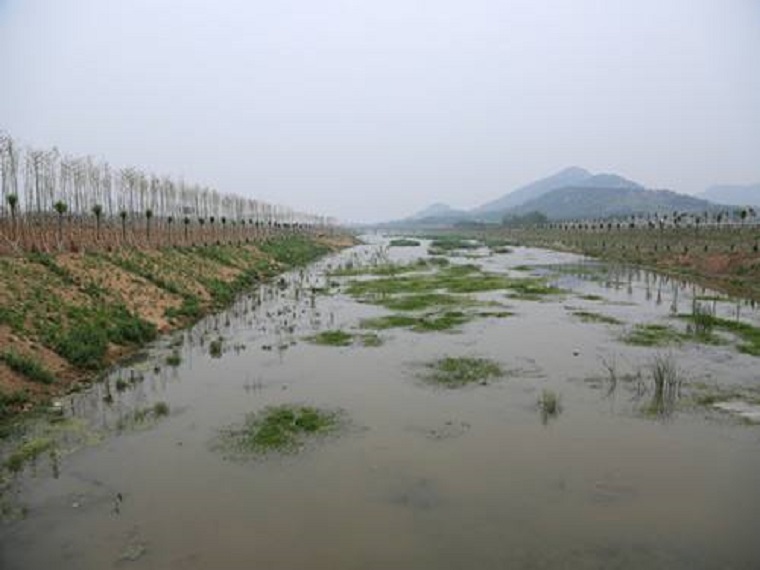 河道开挖设计土方表资料下载-河道疏浚工程施工组织设计Word版（共61页）