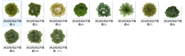 4大国外风格彩平植物高清PSD素材（草地纹理、各类平面树）_2