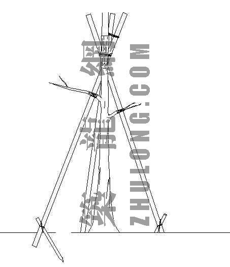 园林树木栽培施工资料下载-园林树木支架详图—三脚長木柱支架