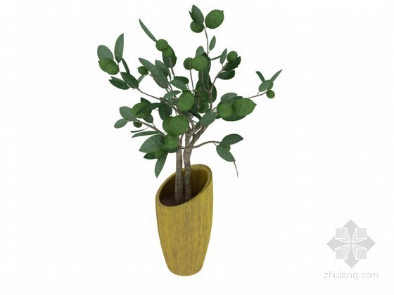 爬满绿色植物的拱架资料下载-绿色植物3D模型下载