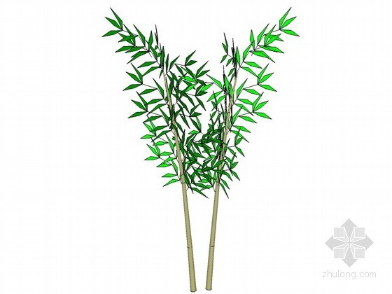 竹子植物SU模型资料下载-竹子sketchup模型