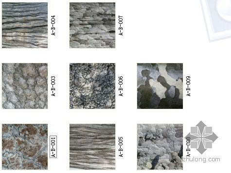 树皮贴图资料下载-8张树皮贴图