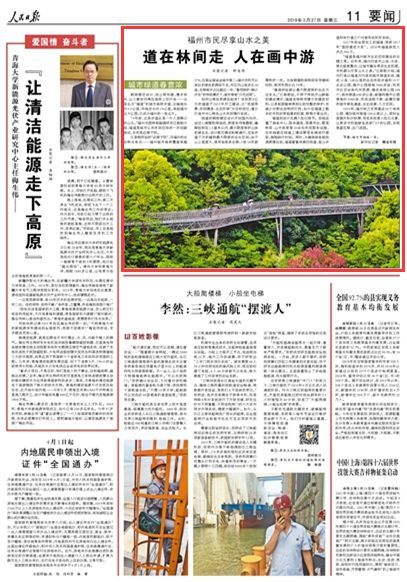 全国首条采用钢架镂空设计的森林步道_5