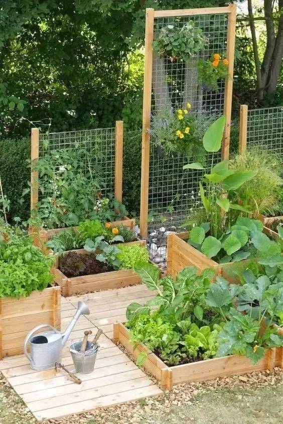 你家的小菜园可以做成什么样吗？_11
