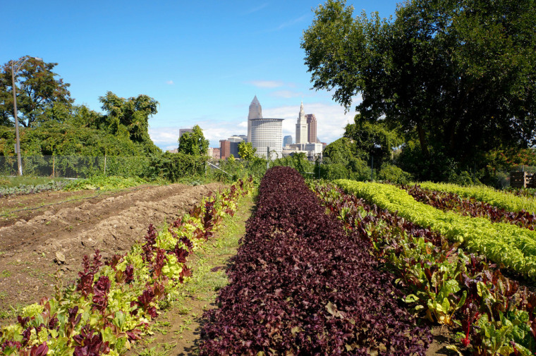 首尔的城市垂直农场资料下载-美国Ohio城市农场