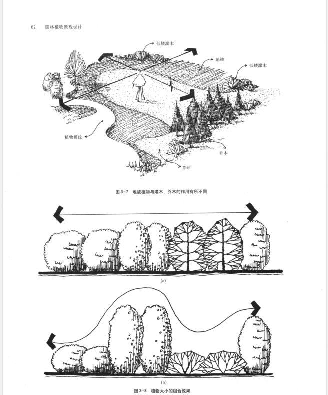 园林植物景观设计PDF(256页)-植物设计5