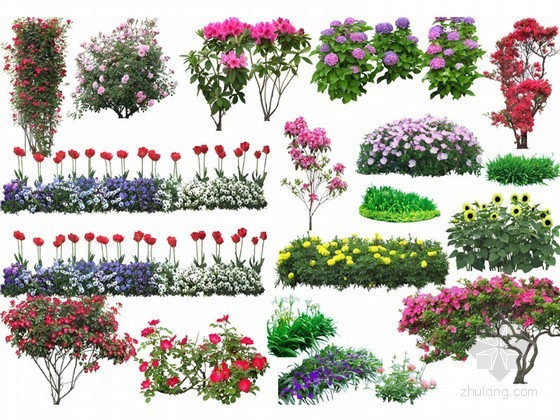 psd素材植物资料下载-景观植物花径PSD素材