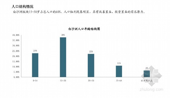 [武汉]房地产专项区域研究分析报告(标杆地产)41页-人口结构情况 