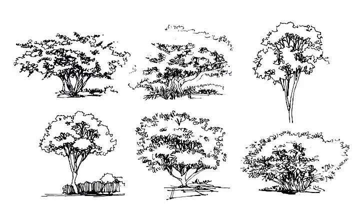 景观手绘优秀作品欣赏_36