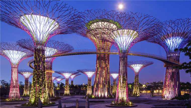 新加坡滨海湾花园照明规划赏析_10